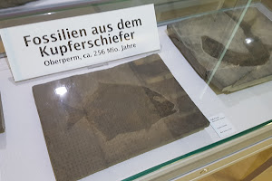 Freilicht- und Erlebnismuseum Ostfalen e.V.