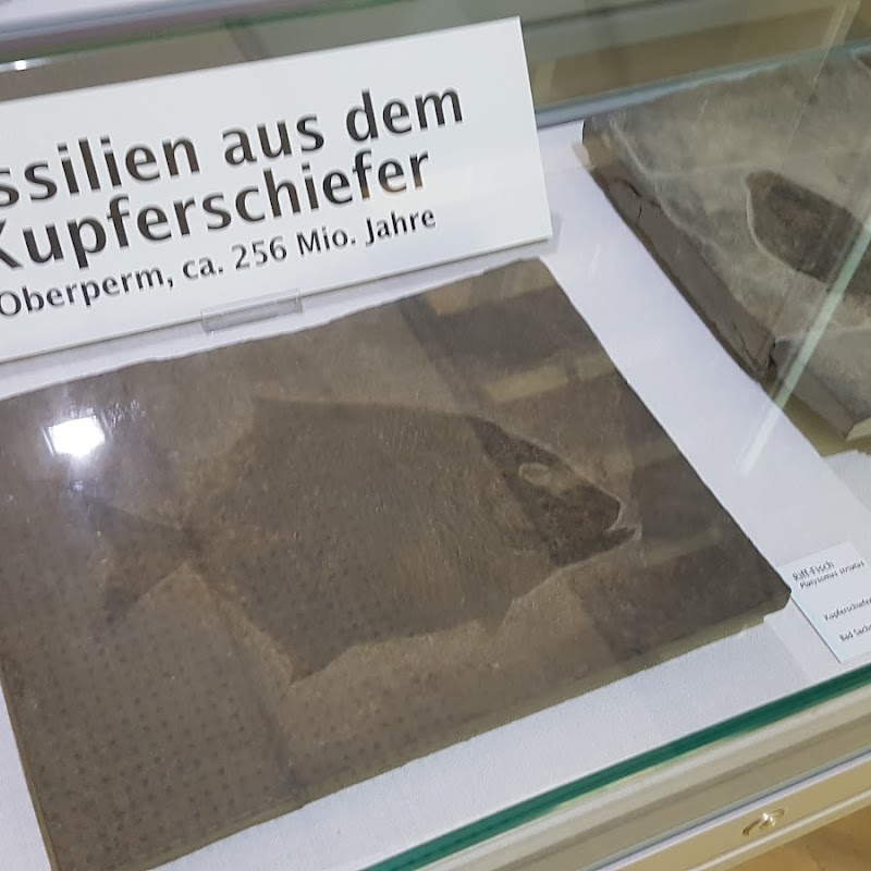 Freilicht- und Erlebnismuseum Ostfalen e.V.