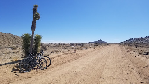 Bicycle Rental Service «The Bike Revolution», reviews and photos, 522 Sixth Ave, San Diego, CA 92101, USA