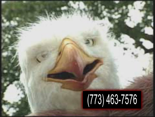 Auto Insurance Agency «Eagle Insurance Agency», reviews and photos