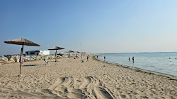 Kavourina Beach'in fotoğrafı çok temiz temizlik seviyesi ile