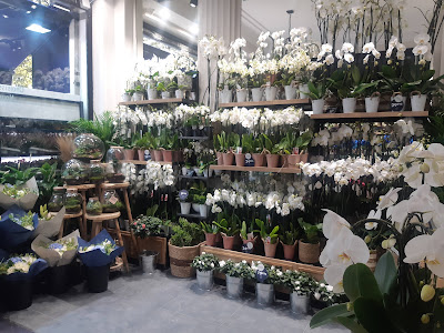 Monceau fleurs à Paris
