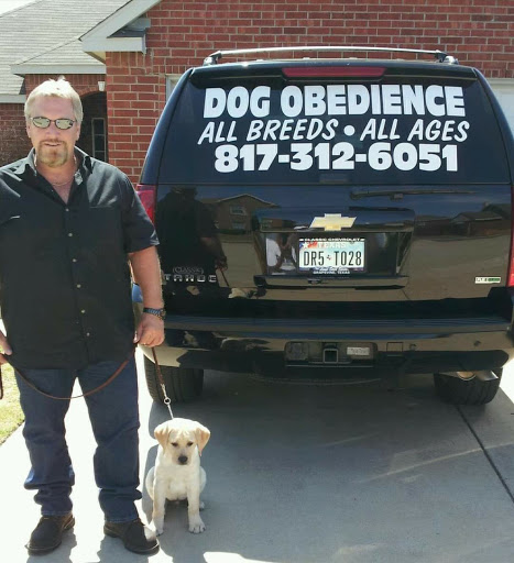 Dog trainer Fort Worth