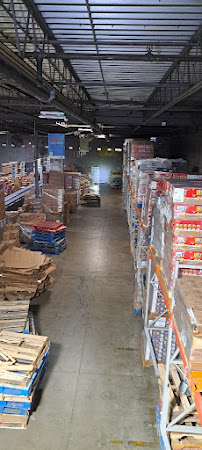 Indy Wildlife Services