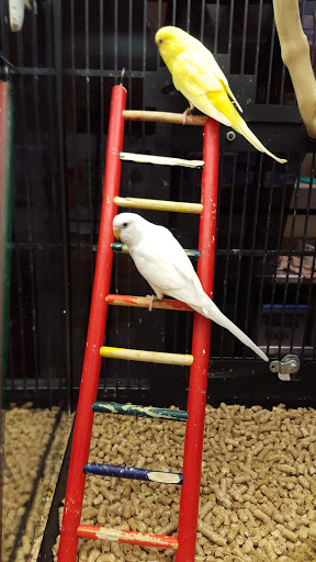 Pet Supply Store «PetSmart», reviews and photos, 2858 Willamette St, Eugene, OR 97405, USA