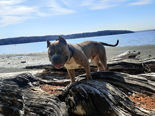 Coffee Shop «Burton Coffee Stand», reviews and photos, 23908 Vashon Hwy SW, Vashon, WA 98070, USA