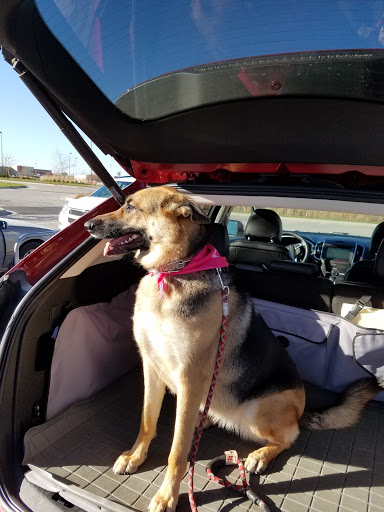 Pet Supply Store «PetSmart», reviews and photos, 815 McDermott Street, Council Bluffs, IA 51501, USA