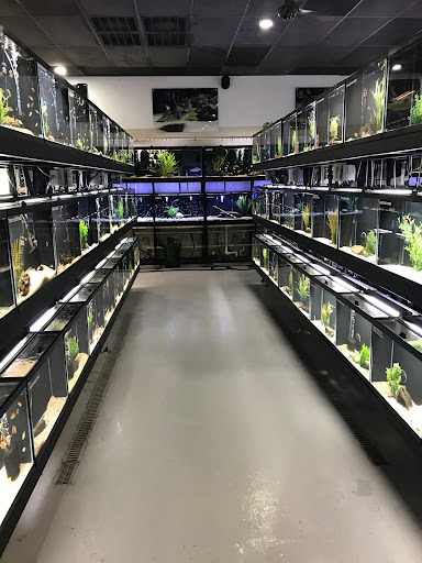 Tropical Fish Store «Fish Gallery», reviews and photos, 2909 Fountain View Dr, Houston, TX 77057, USA