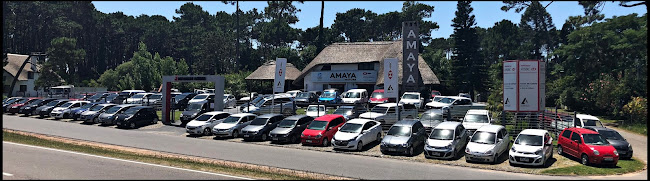 Opiniones de AMAYA MOTORS PUNTA en Maldonado - Taller de reparación de automóviles
