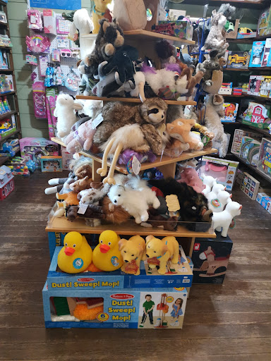 Toy Store «Got Toys», reviews and photos, 1714 Hunter Rd, New Braunfels, TX 78130, USA
