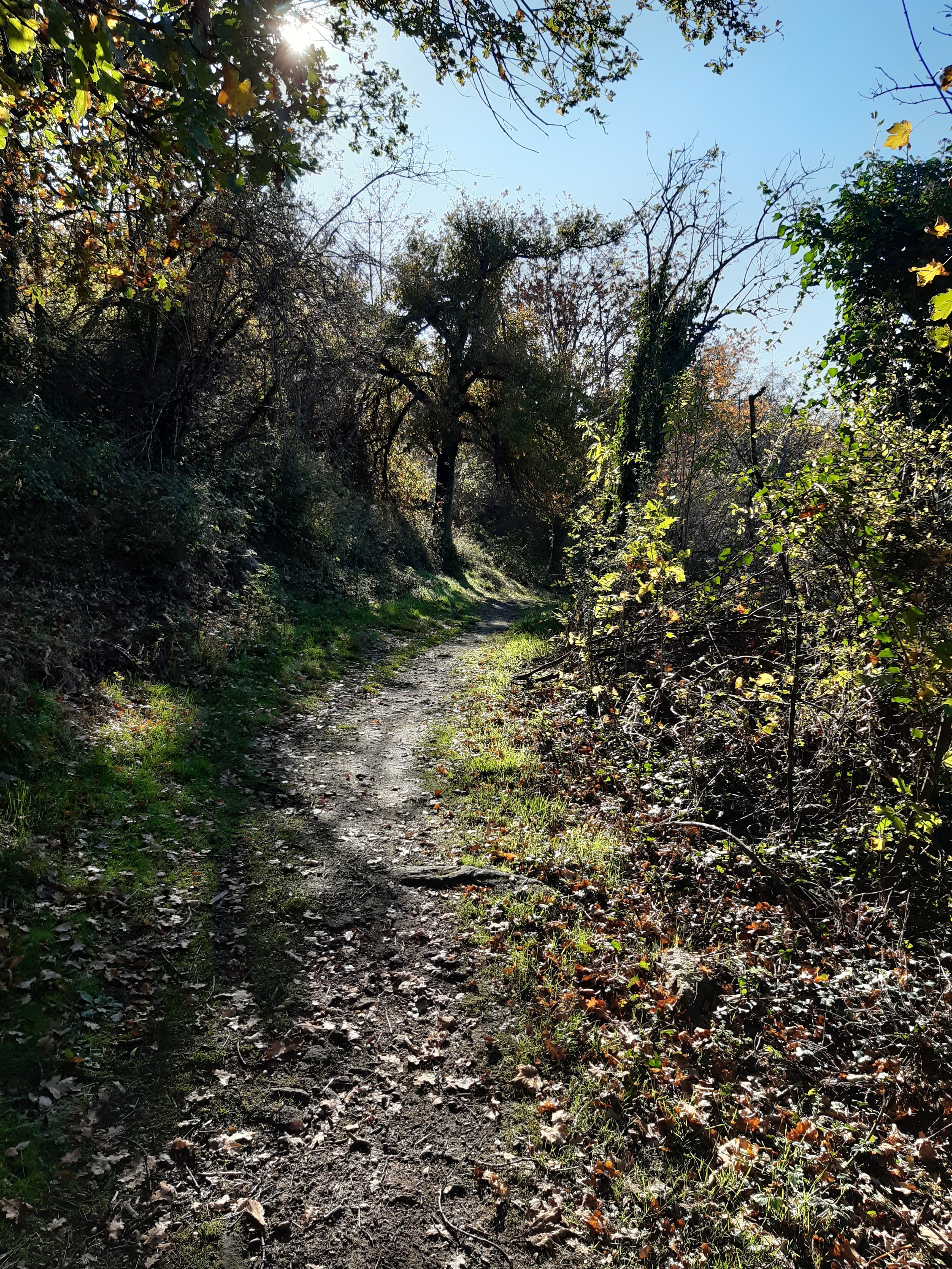 Photo n° 2 de l'avis de Éric.a fait le 31/10/2020 à 13:36