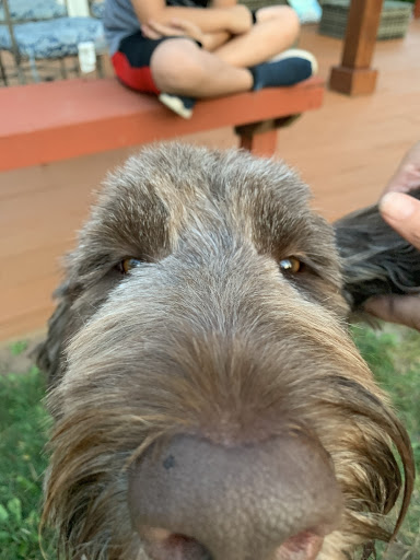 Pet Supply Store «Petco Animal Supplies», reviews and photos, 1333 Centennial Ave, Piscataway Township, NJ 08854, USA