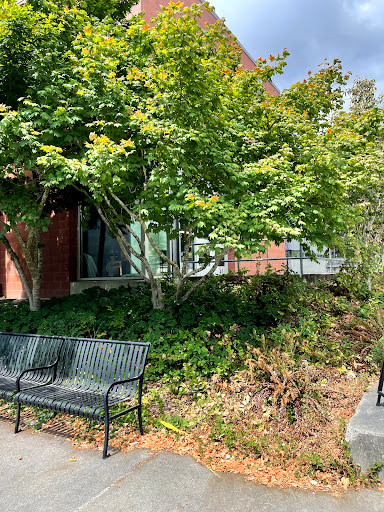 Community Center «Northgate Community Center», reviews and photos, 10510 5th Ave NE, Seattle, WA 98125, USA