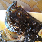 Photo n°1 de l'avis de Romano.o fait le 27/10/2022 à 21:34 sur le  Piatto Ricco à Ardea