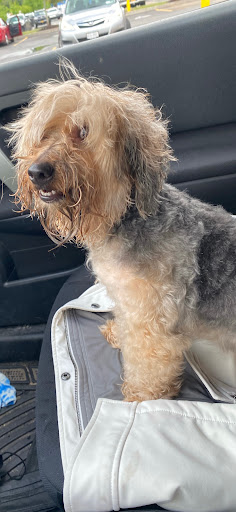 Pet Supply Store «PetSmart», reviews and photos, 742 S Meadow St, Ithaca, NY 14850, USA