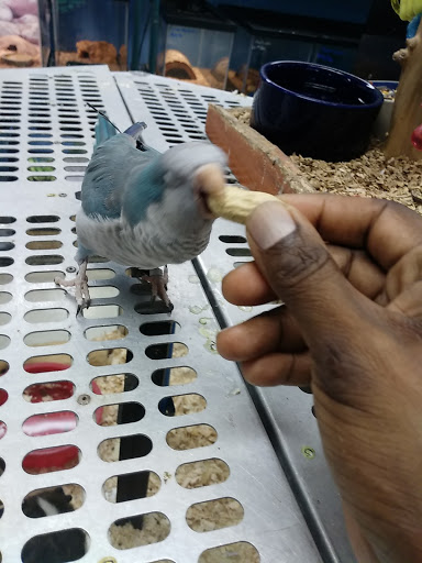 Pet Store «Liberty Agway Pet Center», reviews and photos, 11 Bon Jovi Ln, Liberty, NY 12754, USA