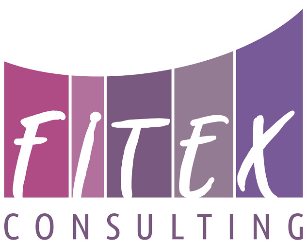 Opinii despre FITEX CONSULTING S.R.L. în <nil> - Firmă de contabilitate