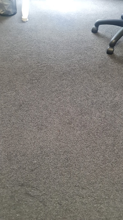 Carpet Cleaning West Auckland Pro
