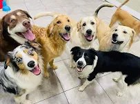 Hounds Town - Allentown - Car repair in Allentown, PA, Allentown - Rated 4.9/5