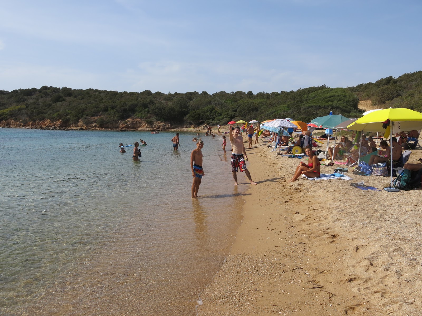 Foto de Porto Palma beach localizado em área natural