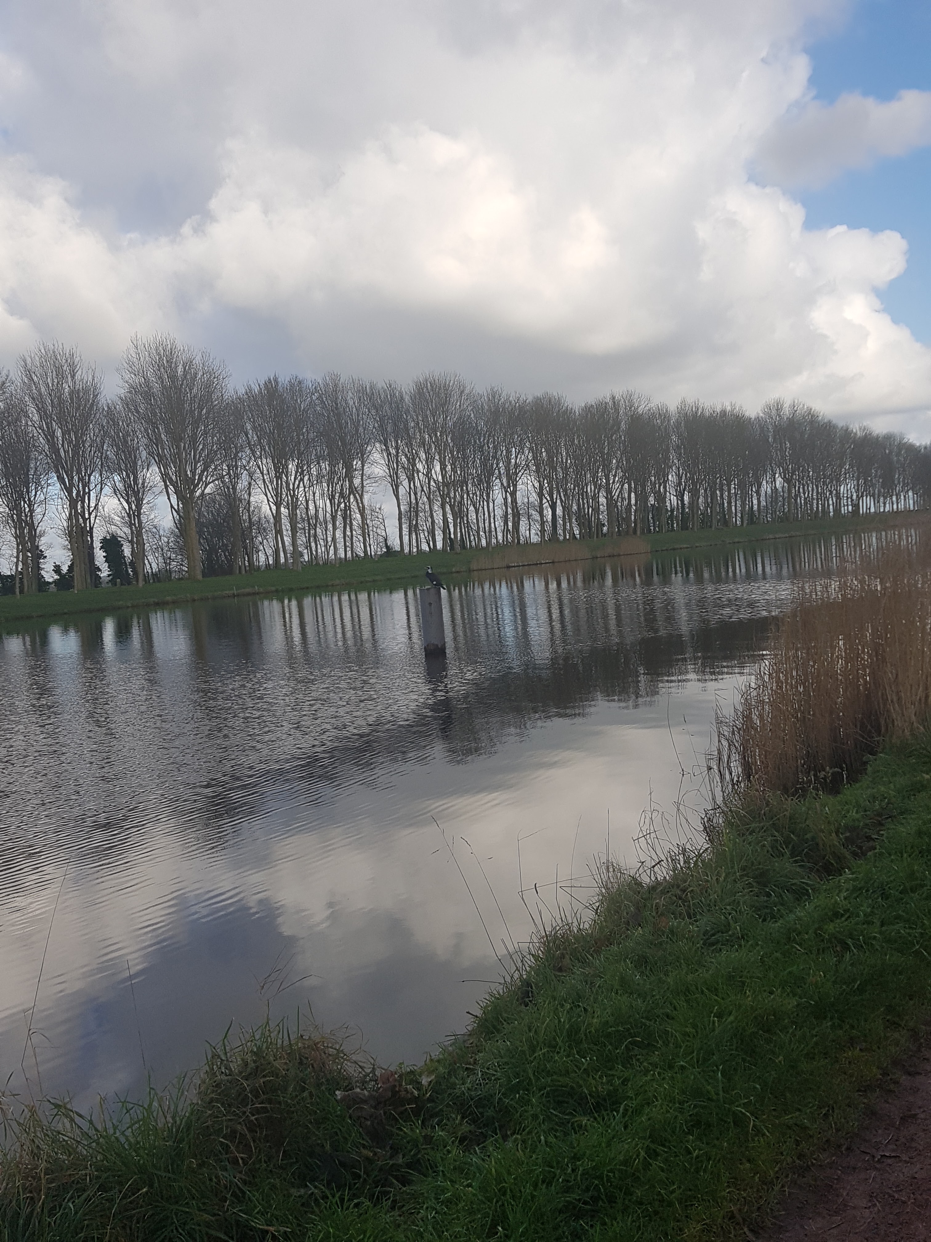 Photo n° 2 de l'avis de mélody.a fait le 05/02/2022 à 01:23