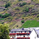 Photo n°1 de l'avis de hans.n fait le 27/09/2020 à 18:26 sur le  Andries à Valwig