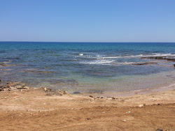 Potami Beach的照片 便利设施区域