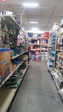 Tractor Supply Co. - Photo 3 - Car repair in Winterville, NC, Greenville