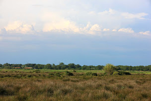 Photo n°1 de Manade Gilbert Arnaud à Saintes-Maries-de-la-Mer ()