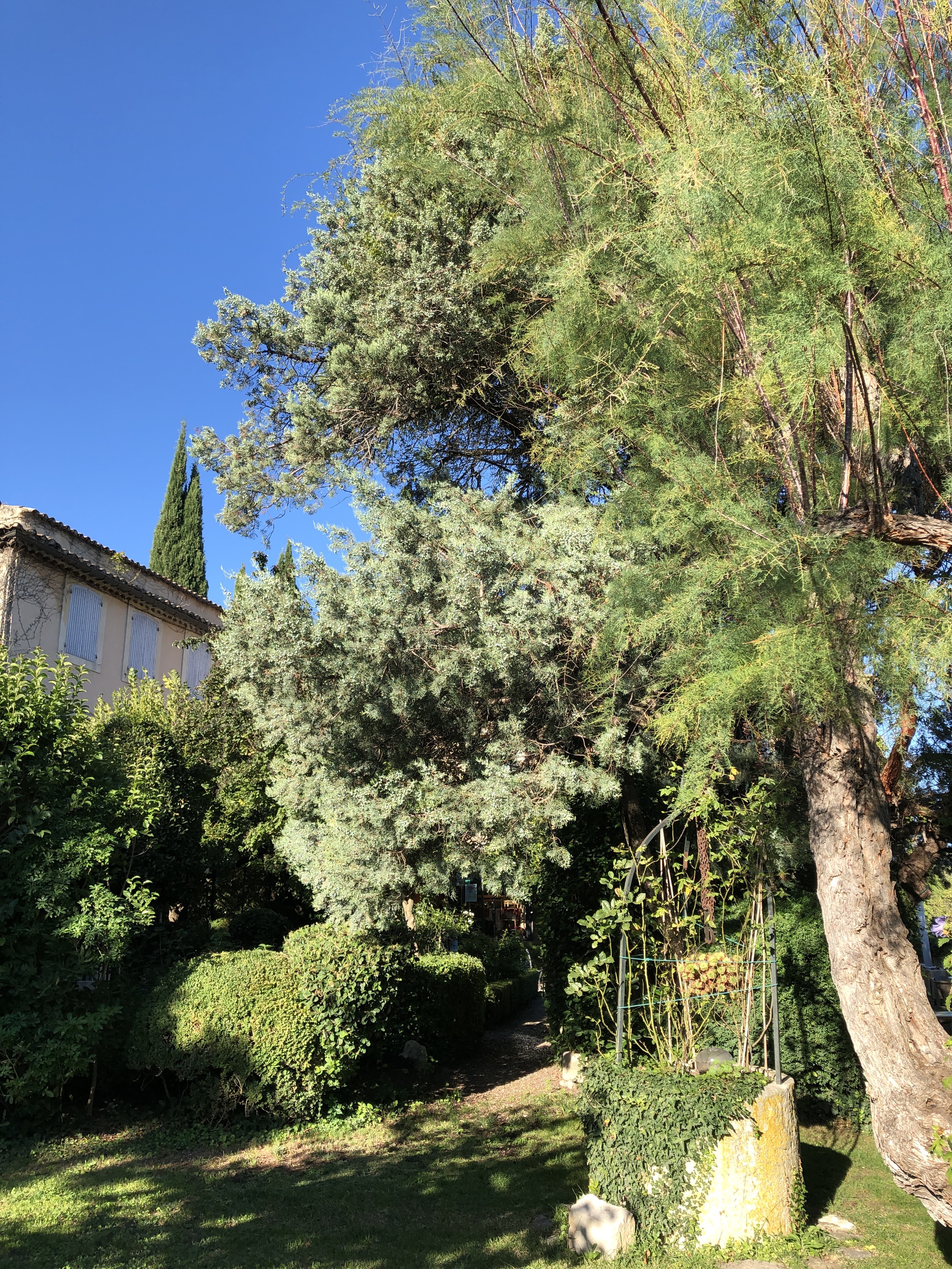 Photo n° 3 de l'avis de Virginie.r fait le 20/09/2020 à 20:33