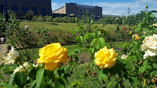 Museum «Tyler Rose Museum & Gift Shop», reviews and photos, 420 Rose Park Dr, Tyler, TX 75702, USA