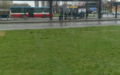 Bus station Melnik image