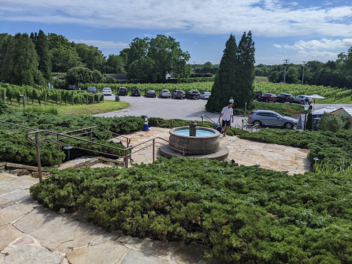 Vineyard «Wölffer Estate Vineyard», reviews and photos, 139 Sagg Rd, Sagaponack, NY 11962, USA
