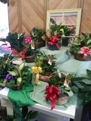 Florist «The House of Flowers», reviews and photos, 821 Berkley Rd, Auburndale, FL 33823, USA