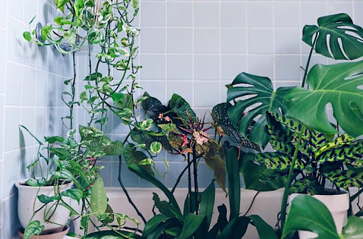 Park «Jester Park», reviews and photos, 11407 Northwest Jester Park Drive, Granger, IA 50109, USA