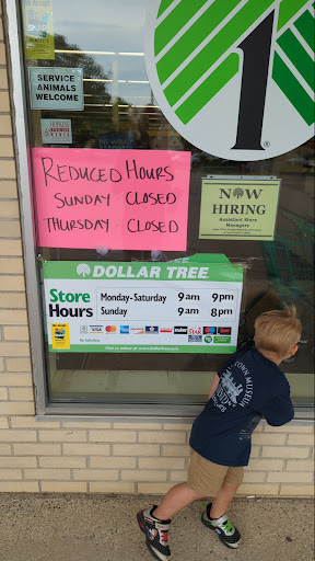 Dollar Store «Dollar Tree», reviews and photos, 1404 Main St, Hopkins, MN 55343, USA