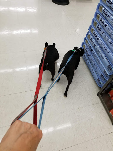 Pet Supply Store «Pet Supplies Plus», reviews and photos, 873 S Main St, Lapeer, MI 48446, USA