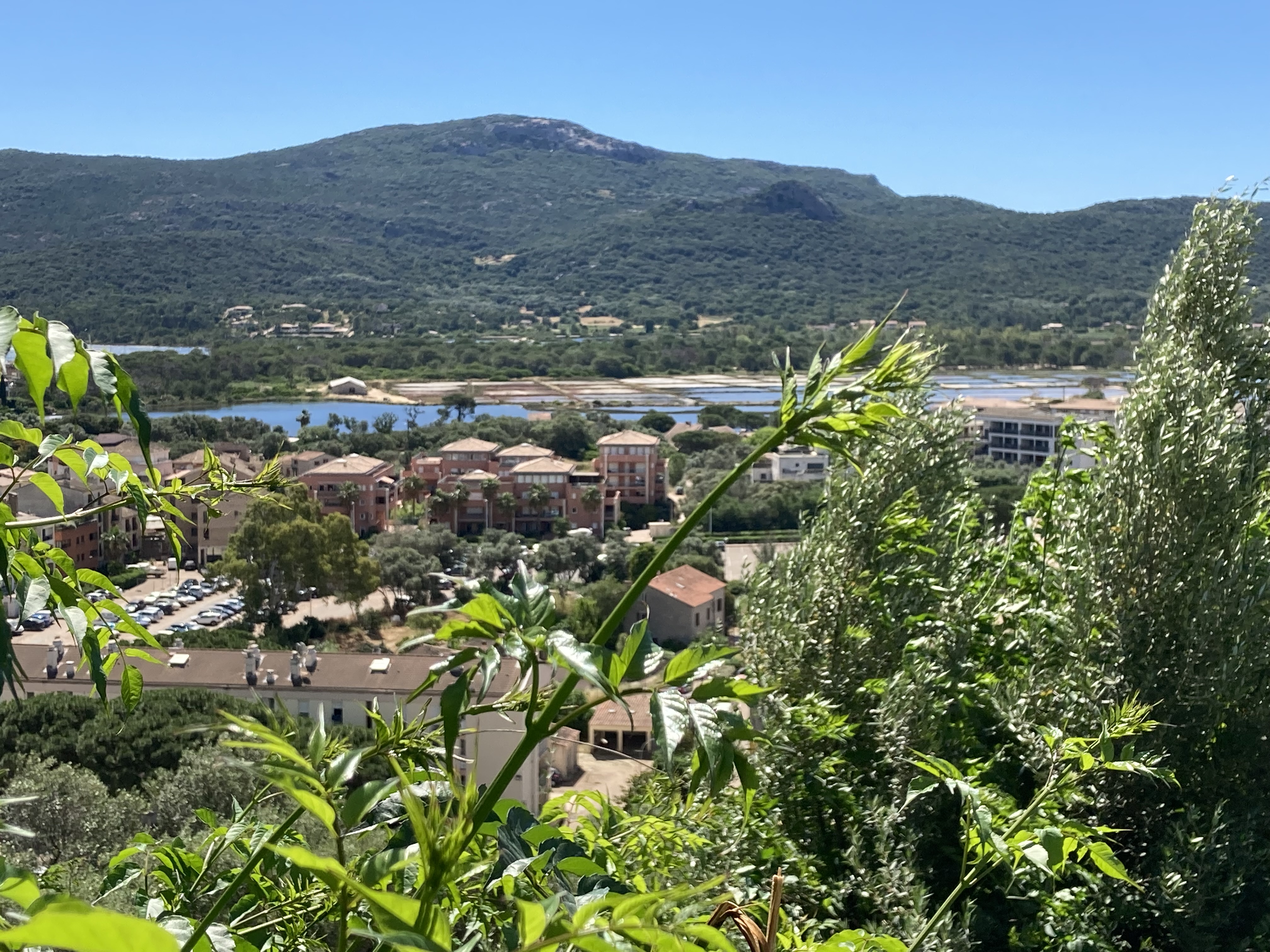 Photo n° 4 de l'avis de François.a fait le 12/06/2022 à 04:48