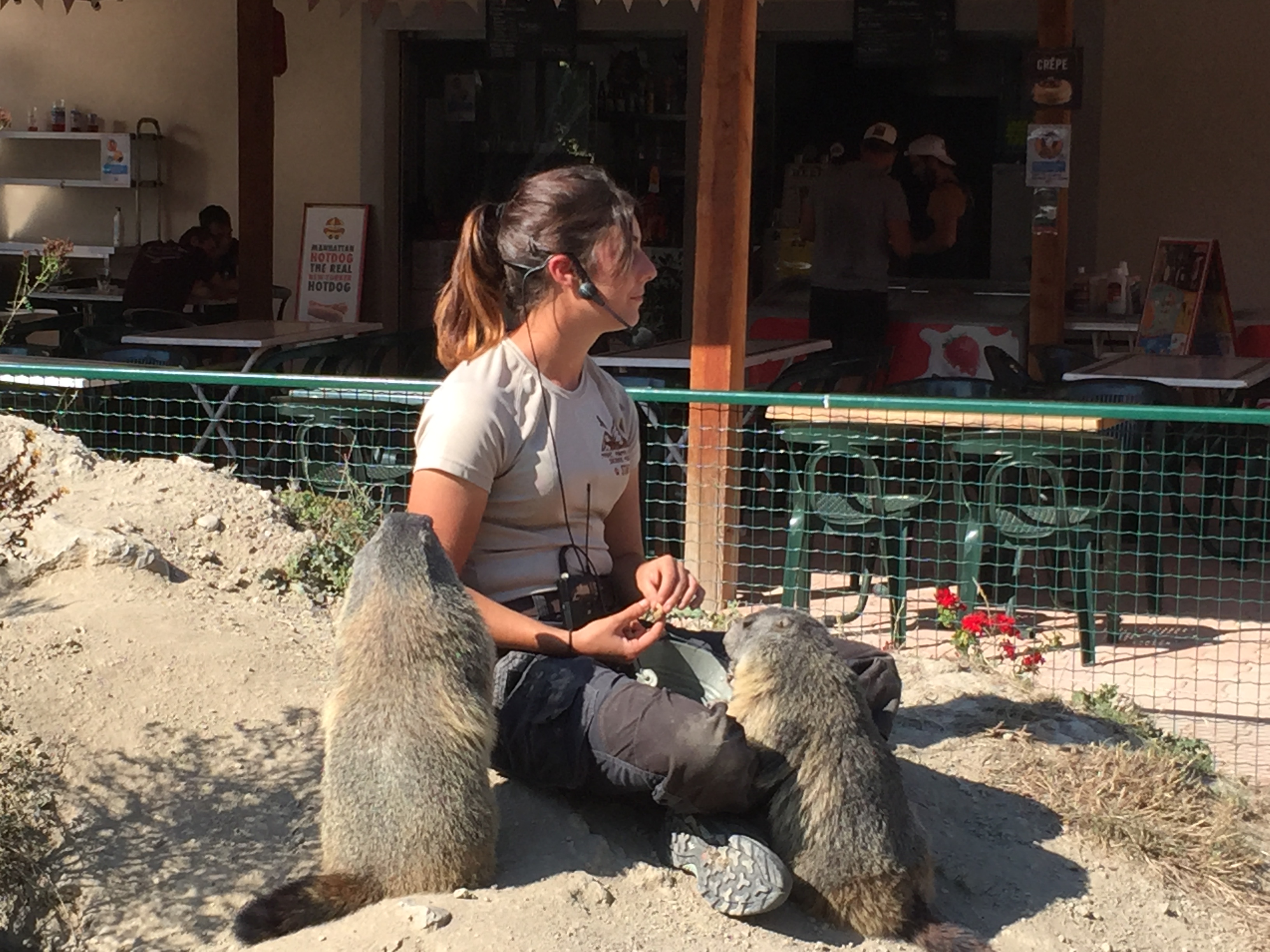 Photo n° 1 de l'avis de patrice.i fait le 15/09/2020 à 19:57