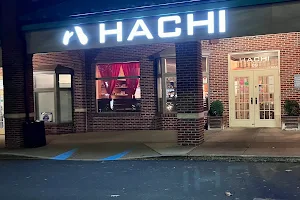 Hachi image