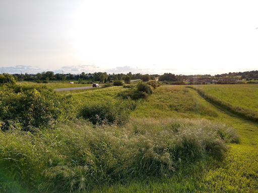 Monument «Reverence (Whales Tails)», reviews and photos, I-89, South Burlington, VT 05403, USA