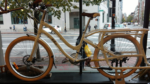 Bicycle Store «Cambridge Bicycle», reviews and photos, 259 Massachusetts Ave, Cambridge, MA 02139, USA