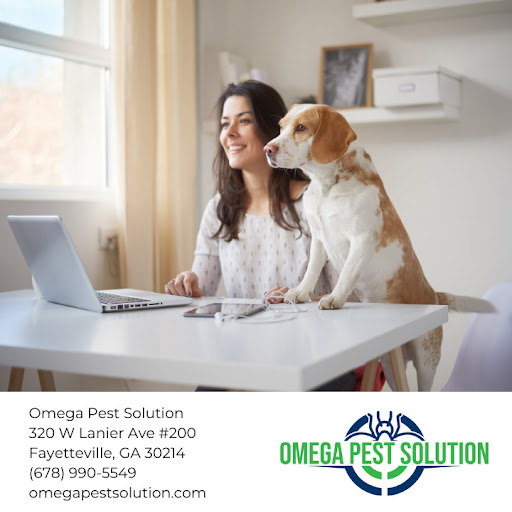 Omega Pest Solution rodent control
