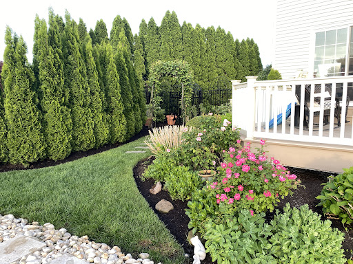 Produce Market «Puglias Produce», reviews and photos, 381 Fries Mill Rd, Sewell, NJ 08080, USA