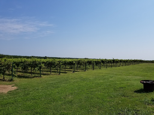 Winery «Red Caboose Winery», reviews and photos, 1147 CR 1110, Meridian, TX 76665, USA