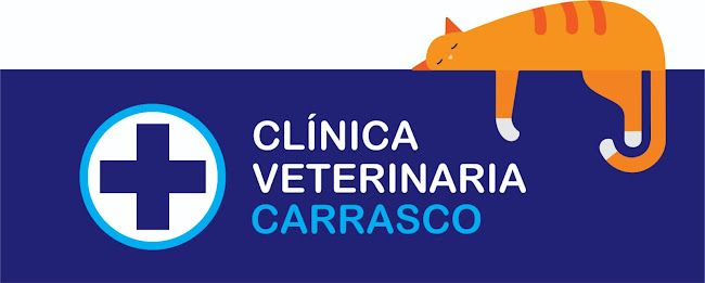 Clínica Veterinaria Carrasco - Veterinario