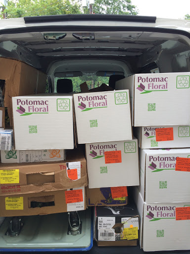 Florist «Park Florist», reviews and photos, 6921 Laurel Ave, Takoma Park, MD 20912, USA