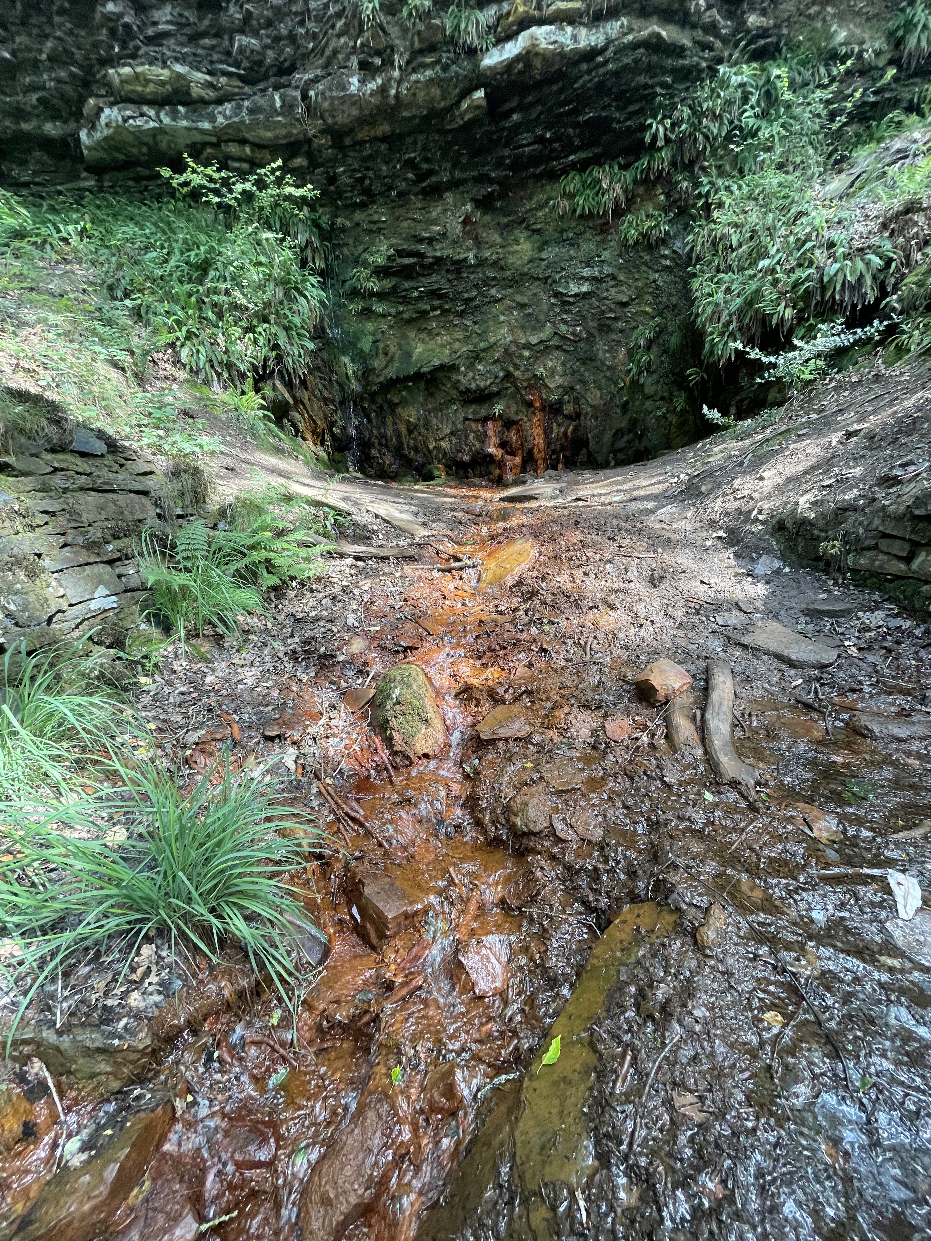 Photo n° 1 de l'avis de Thierry.A fait le 20/07/2023 à 12:57