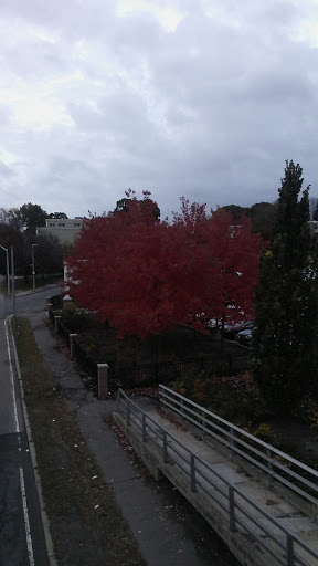 Bowling Alley «Boston Bowl», reviews and photos, 820 William T Morrissey Blvd, Dorchester, MA 02122, USA