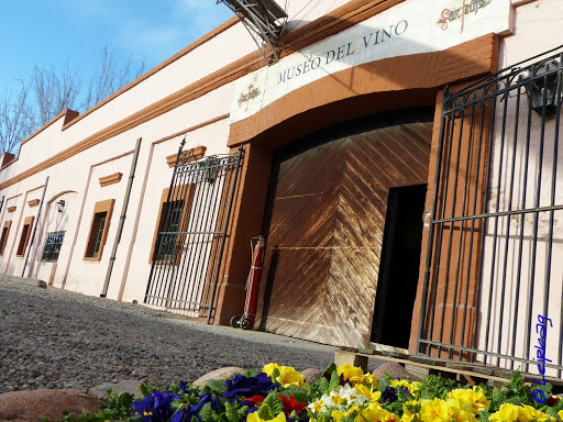Bodega La Rural - Museo del Vino San Felipe